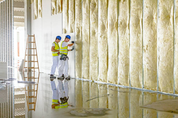 Best Residential Insulation in Pauls Valley, OK